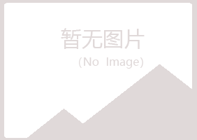 兰山区涵瑶咨询有限公司